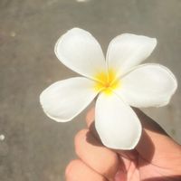 เสียงต้นฉบับ - ꧁༻แม่หญิงการะเกด ตัวตีอโยธยา༺꧂