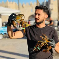 original sound - basheer.natsheh