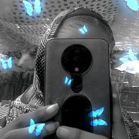 user91157736177900