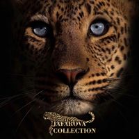 jafarovacollection