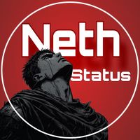 neth_status1