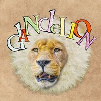 dandelion___0119