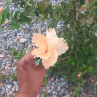 abdalrhman.mostfa3