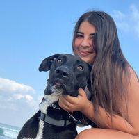 ner_dogtrainer