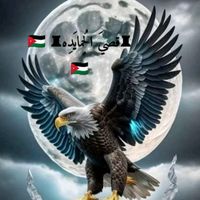 qusayhamayda