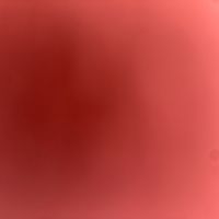 nnonom2