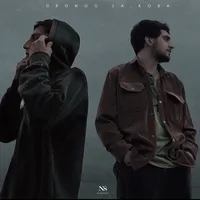 original sound - drongo_la.koba