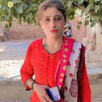 zaminalishah711