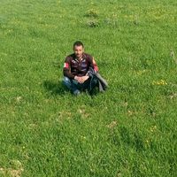 hatemloukti