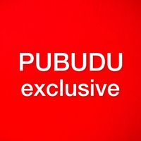 pubudu.electronic.store