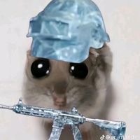 leocguuuibv