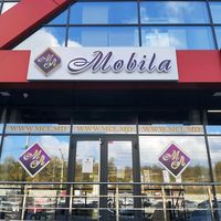 mlmobilapetricani