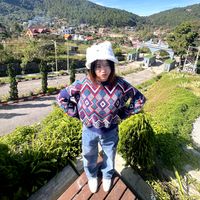 meow063734