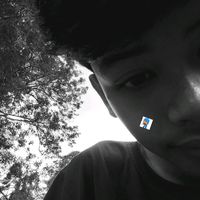 panduua12_