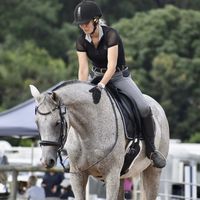 kathybequestrian