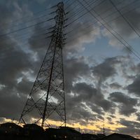 オリジナル楽曲 - にこたん