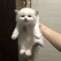 オリジナル楽曲 - r