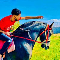 firas_al_tamimi