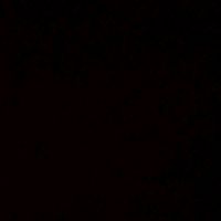 rites_222