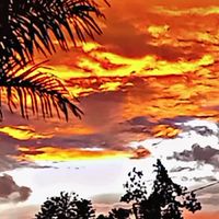 suara asli - BOTOL SAUS🌶️