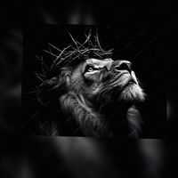 lordmystrength..26
