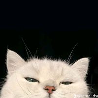 original sound - @NaKngMama,m0o