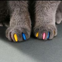 nails_by_izze