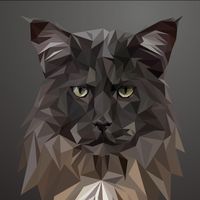 lokimainecoonofmischief