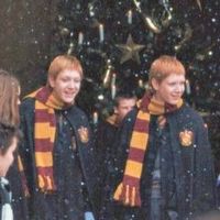 hp_twinsweasley
