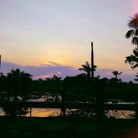 nathy_9.1