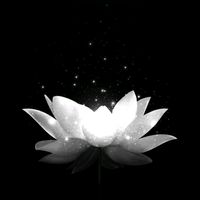 nhạc nền - ꧁༒ĂĬ.T̆áN̆.T̆H̆ì.Y̆êŬ༒꧂