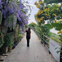 kiki_7524