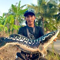 trong94