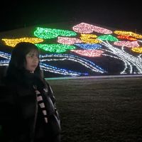 オリジナル楽曲 - SARAちゃん🐬