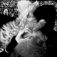 الصوت الأصلي