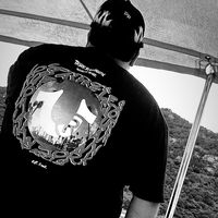 jp_vzq09