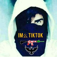 im.tiktok11