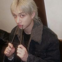 straykids.fics_