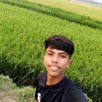 mdsodagor51