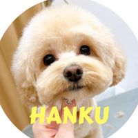 hanku0108
