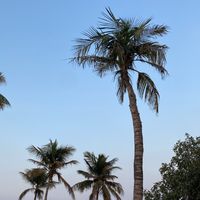 mariyam_70777