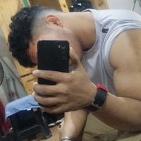 dillo_diko50