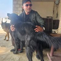 iammalikwaheed