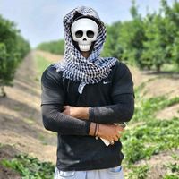 الصوت الأصلي