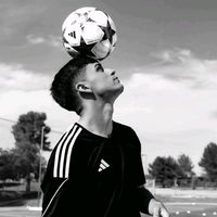 arb_editsculer