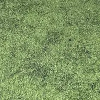 Messi en iyisi