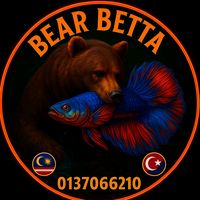 mr.bear93