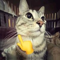 nhạc nền - Đời Lạc Lối ☝️🤨☝️🤓
