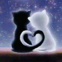 オリジナル楽曲 - 🐳🐟🐮☆S☆🐮🐟🐳