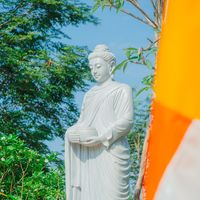 nhạc nền - Đèn Trí Tuệ